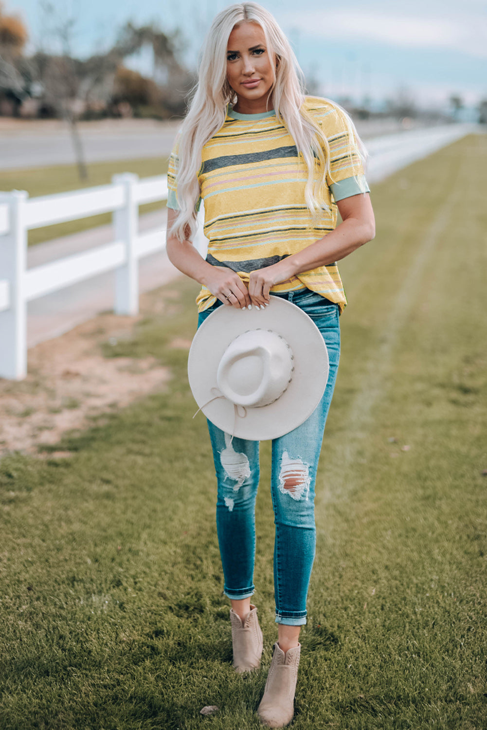 Multicolor Stripes Crew Neck T Shirt