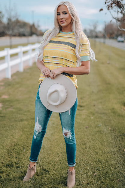 Multicolor Stripes Crew Neck T Shirt