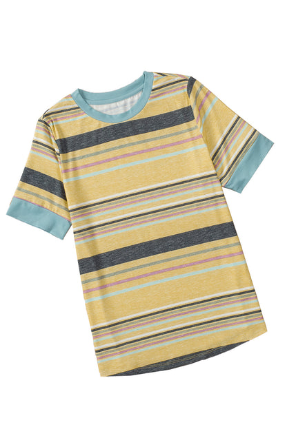 Multicolor Stripes Crew Neck T Shirt